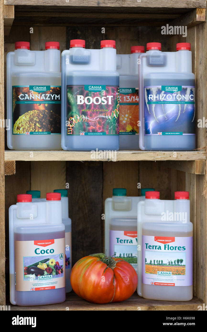 Plant foods in plastic containers with a giant tomato Stock Photo Alamy