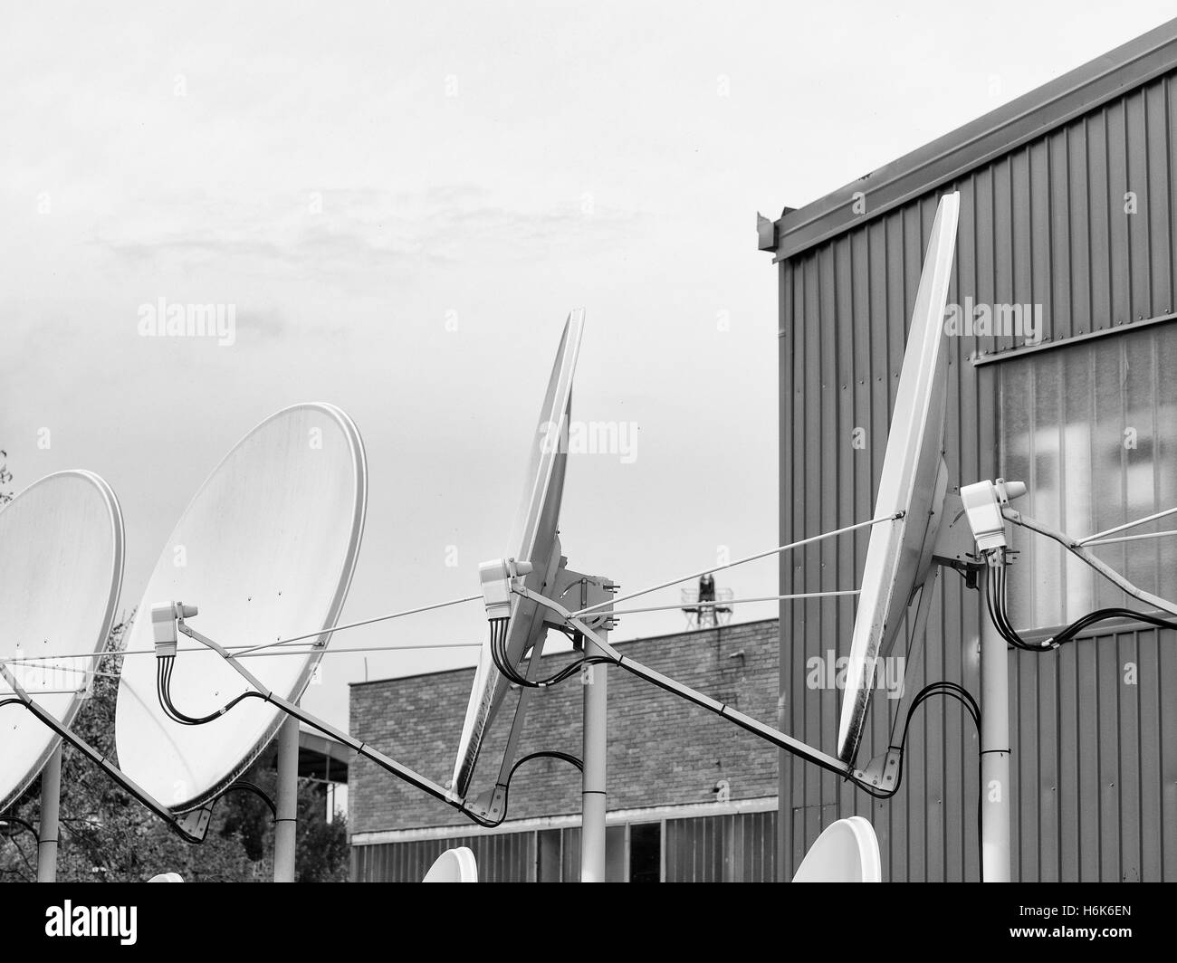 Telecom operator satellite uplink dishes Stock Photo