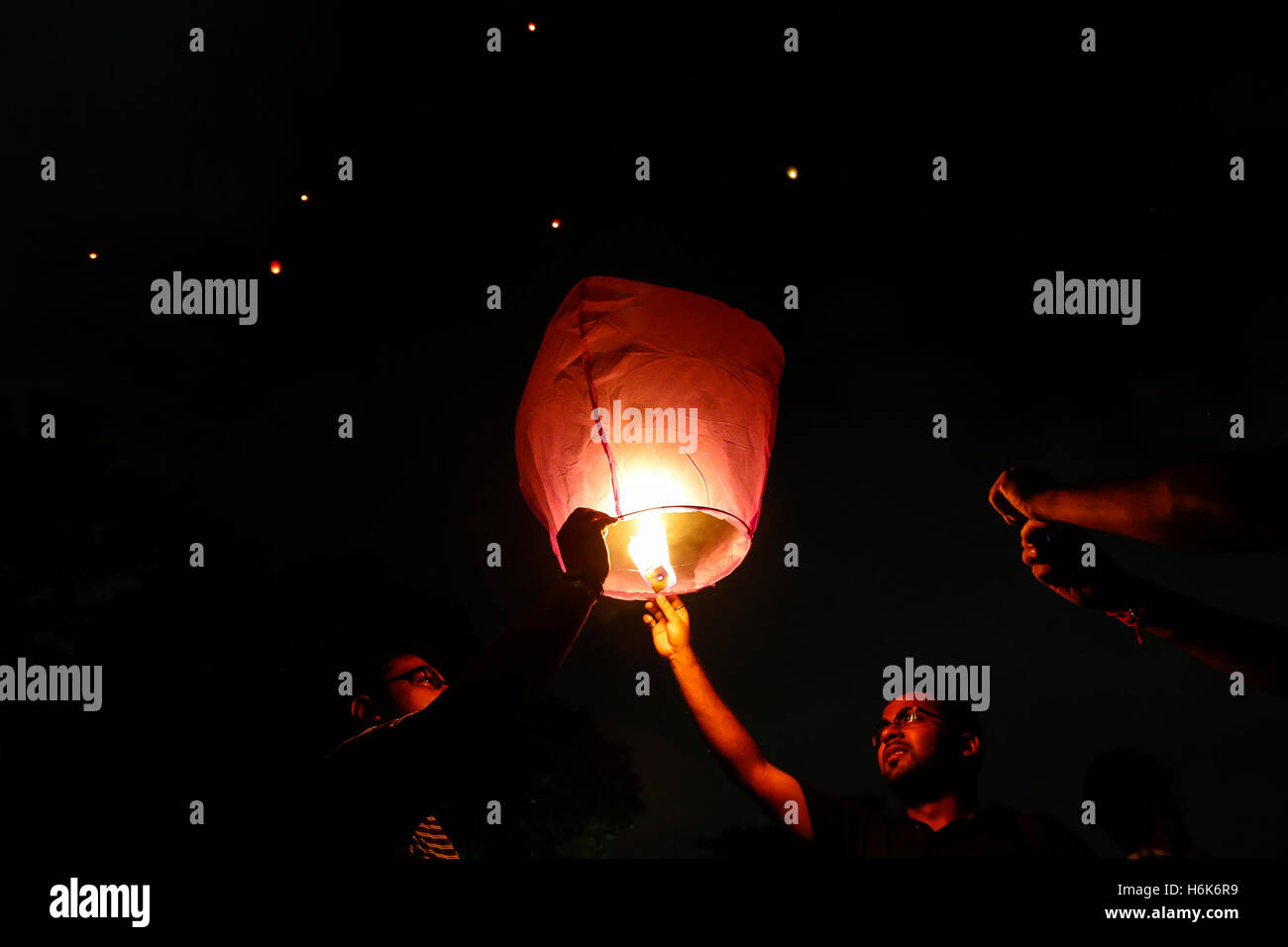 How Popular Sky Lantern Festivals Can Pose a Threat to Animals HD wallpaper  | Pxfuel