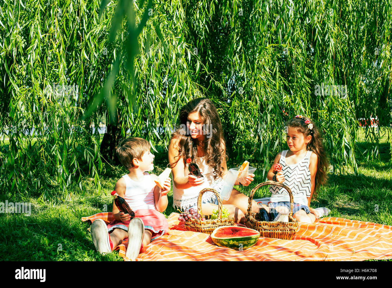 cute happy family on picnic laying on green grass mother and kid Stock ...