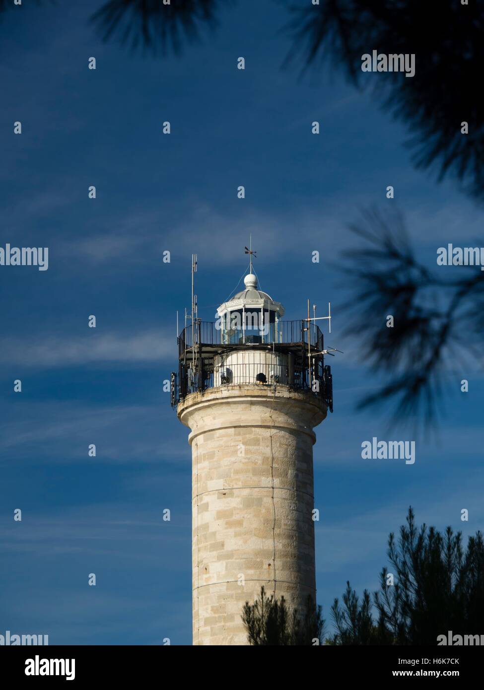 Lighthouse evergreen trees free copy space above Stock Photo Alamy
