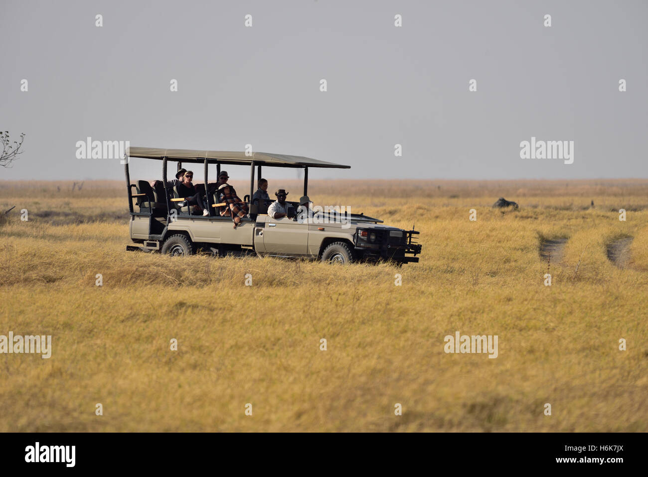 Tourists on safari in Africa Stock Photo