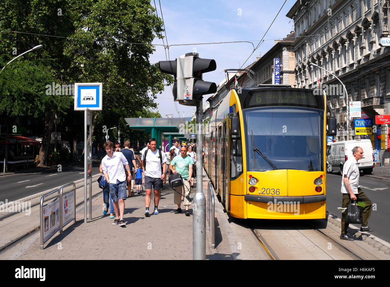 A tram at a tram stop on Terez korut, Budapest, Hungary Stock Photo