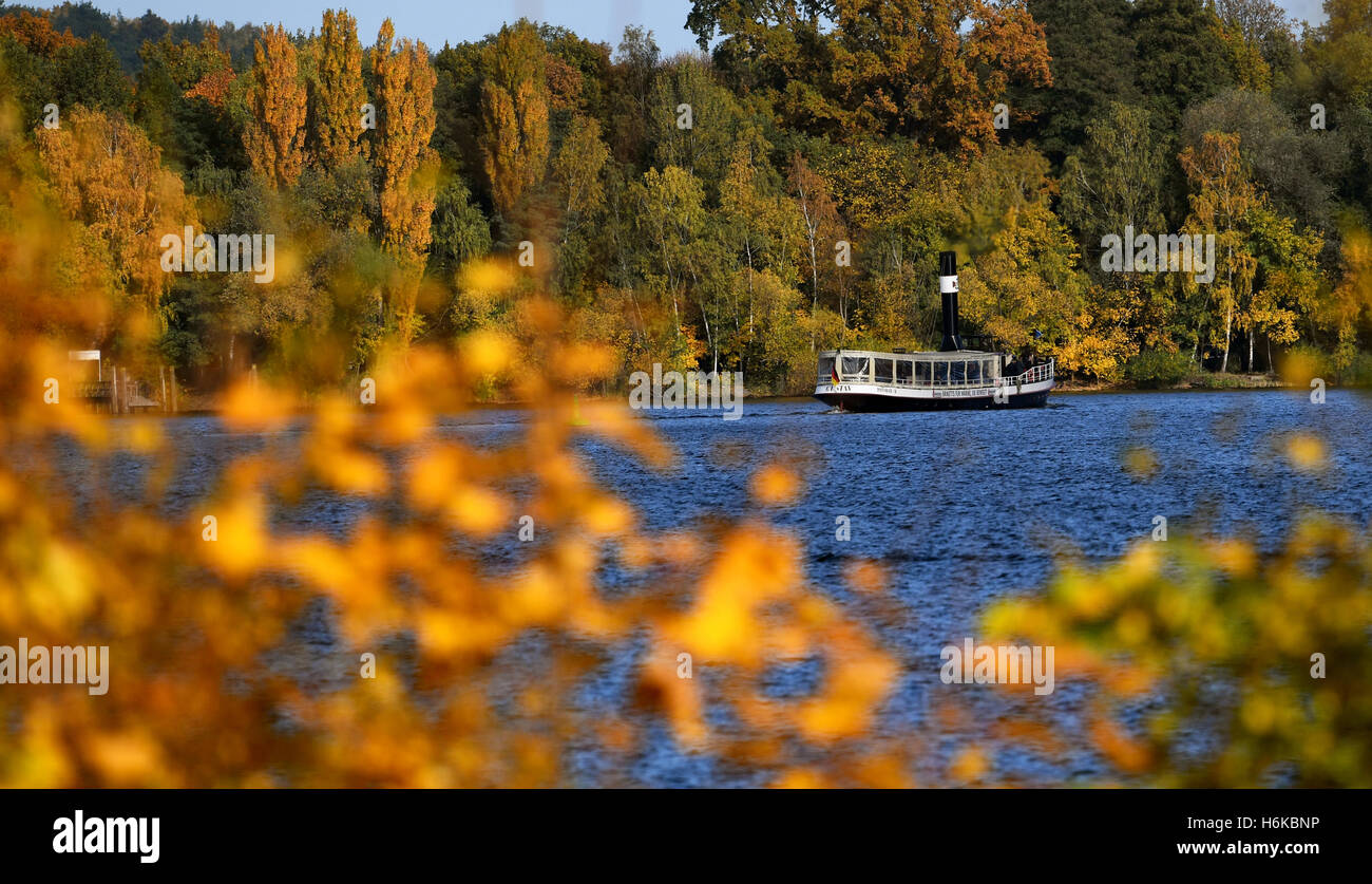 Steam boat 'Gustav' passing colourful trees during autumn on Jungfernsee lake near Potsdam, Germany, 30 October 2016. PHOTO: RALF HIRSCHBERGER/dpa Stock Photo