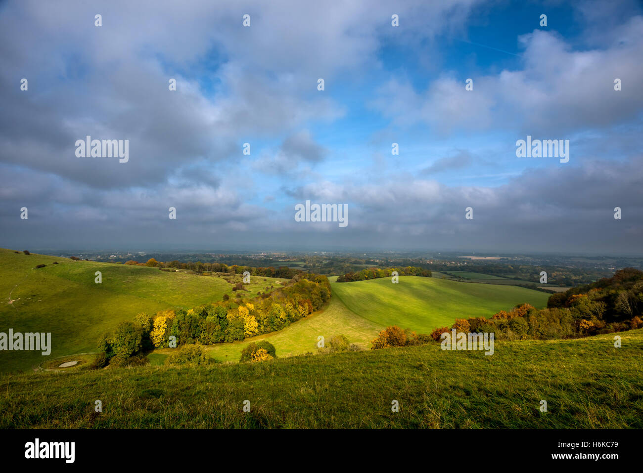 Horse hill sussex hires stock photography and images Alamy