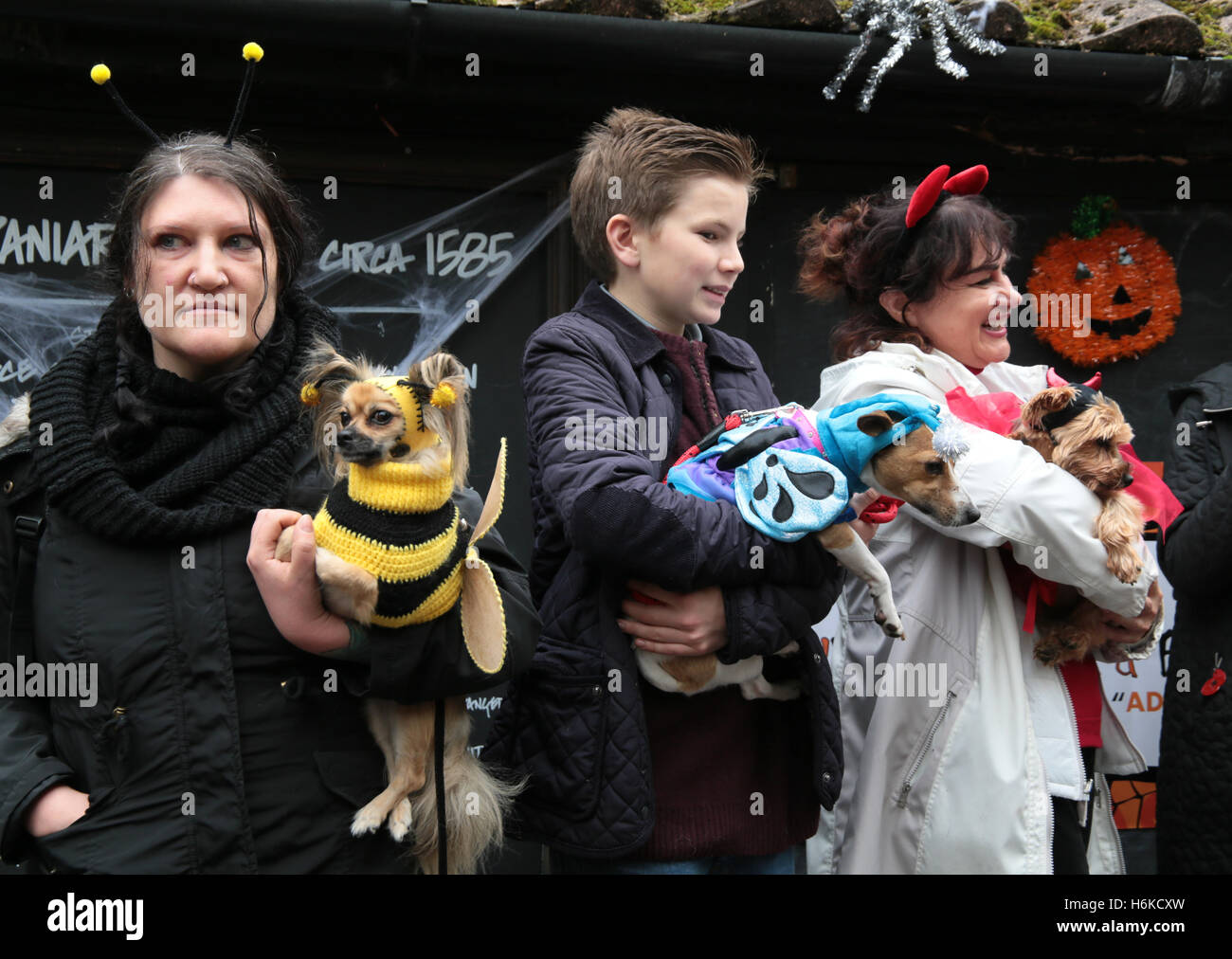 London, UK. 30th October, 2016.   The Halloween Walk and show which sees dog dress up in Halloween costumes to raise money for charity All Dogs Matter which rescue dogs from London and all surrounded areas,held at the Spaniards Inn Pub in Hampstead,among the jurors was Michelle Collin of Eastenders fame. Credit:  Paul Quezada-Neiman/Alamy Live News Stock Photo