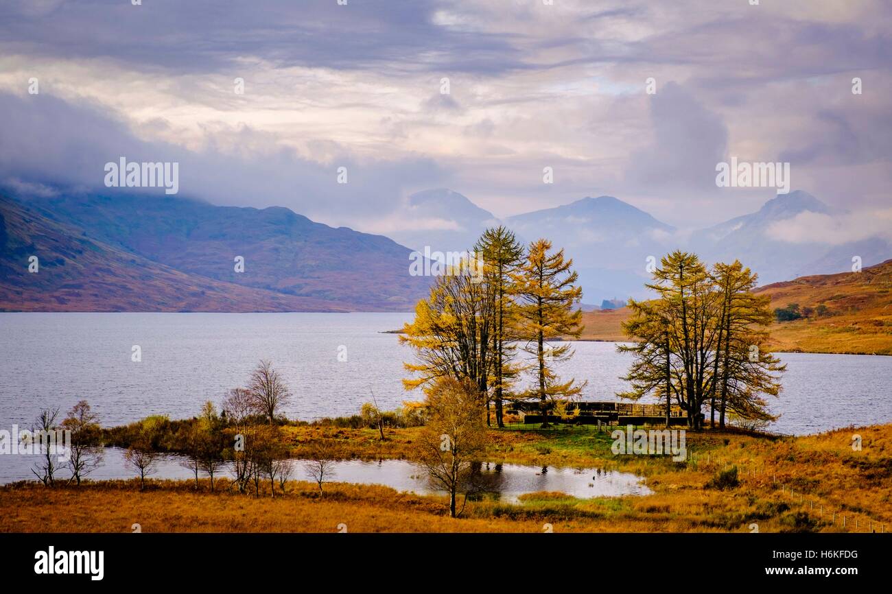 Stronachlachar, UK. 30th Oct, 2016. Loch Lomond & The Trossachs National Park, Scotland UK - Autumn 30th October 2016 Loch Arklet, Loch Lomond & The Trossachs National Park, Scotland Credit:  Andrew Wilson/Alamy Live News Stock Photo