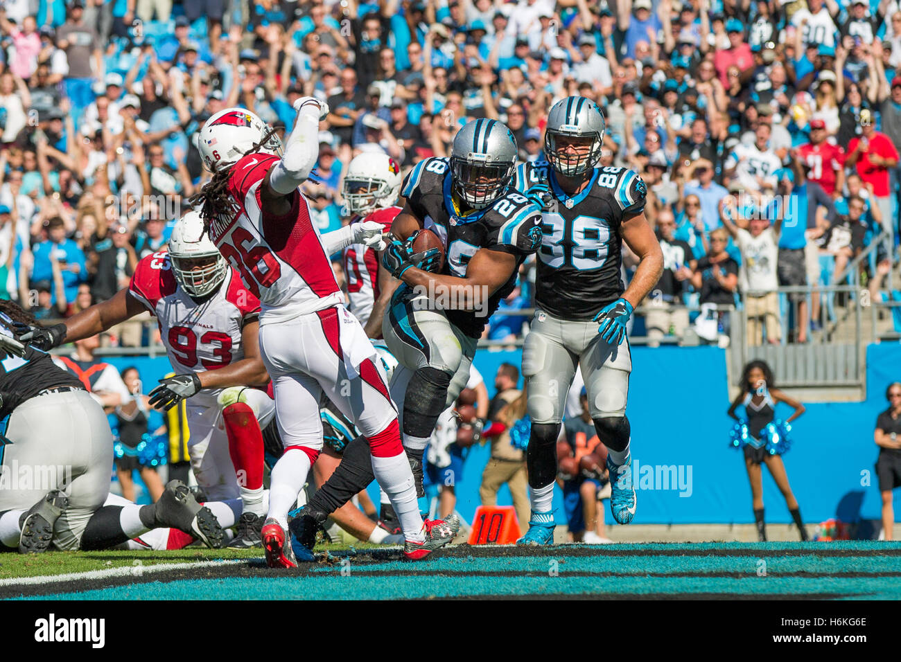 Carolina Panthers Arizona Cardinals Hi Res Stock Photography And Images Charlotte North Carolina Usa 30th Oct 2016 Carolina Panthers Running H6KG6E 