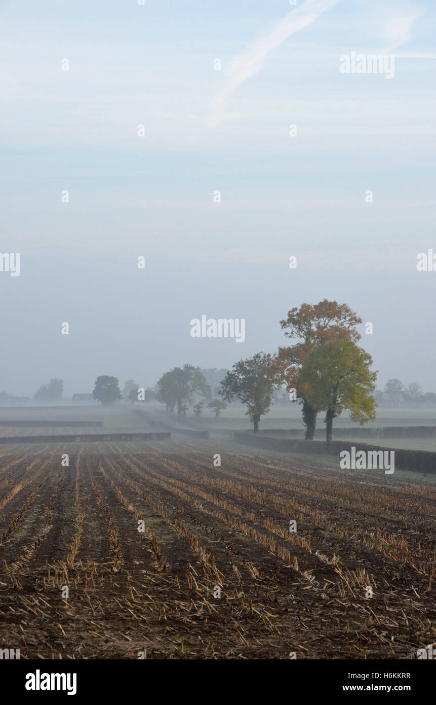 Edington, Somerset, UK . 31st October 2016. UK Weather. View across