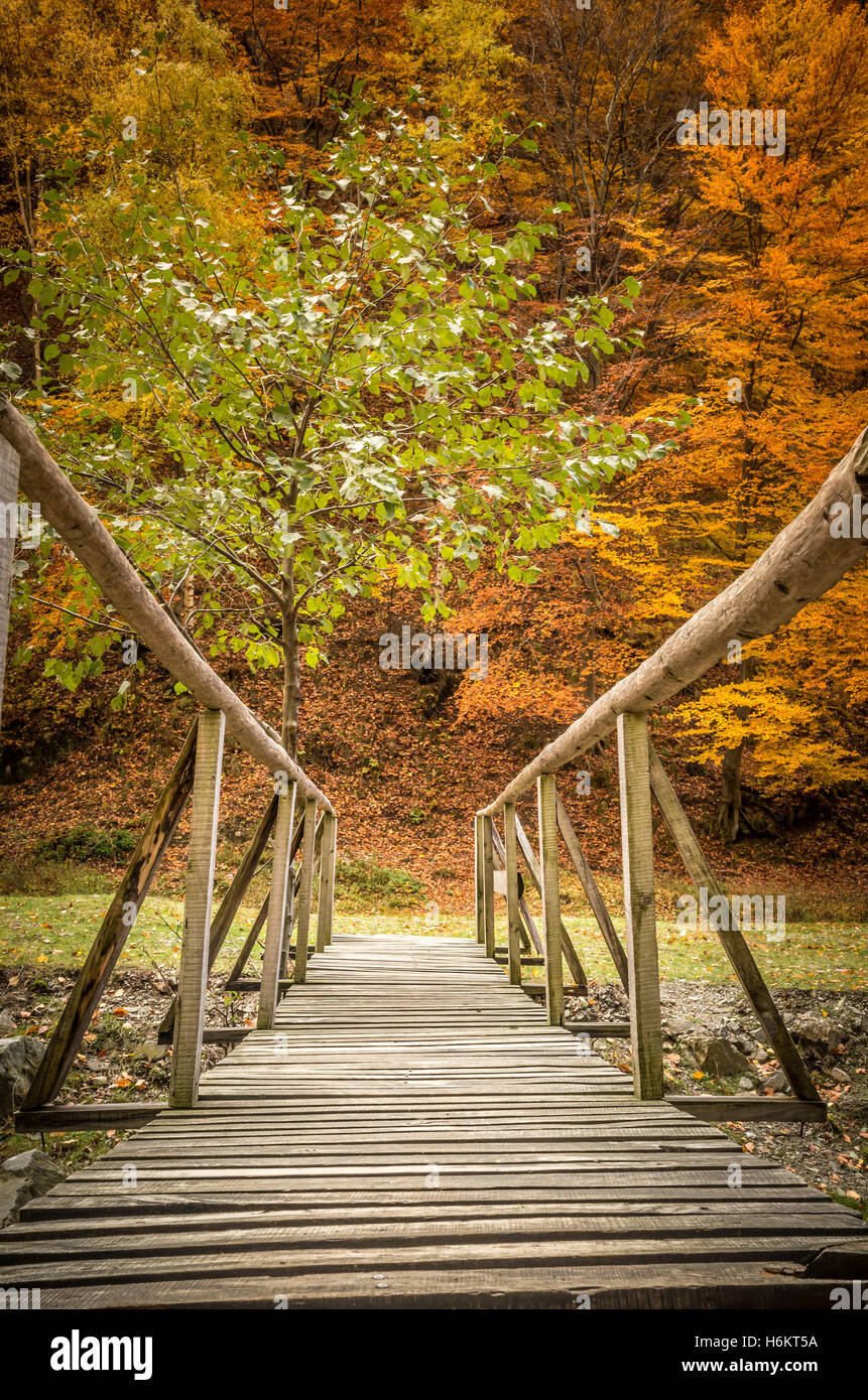 Autumn in the forest. Old wooden bridge over a mountain river. Stock Photo