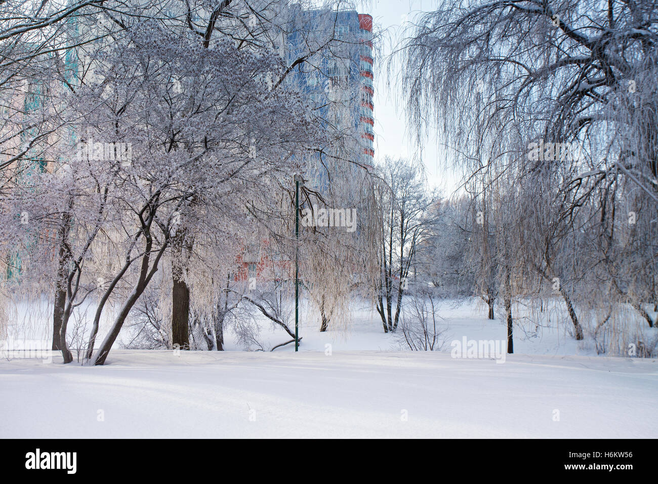 Sunny winter city. Snowcovered urban scene in Belarus Stock Photo Alamy