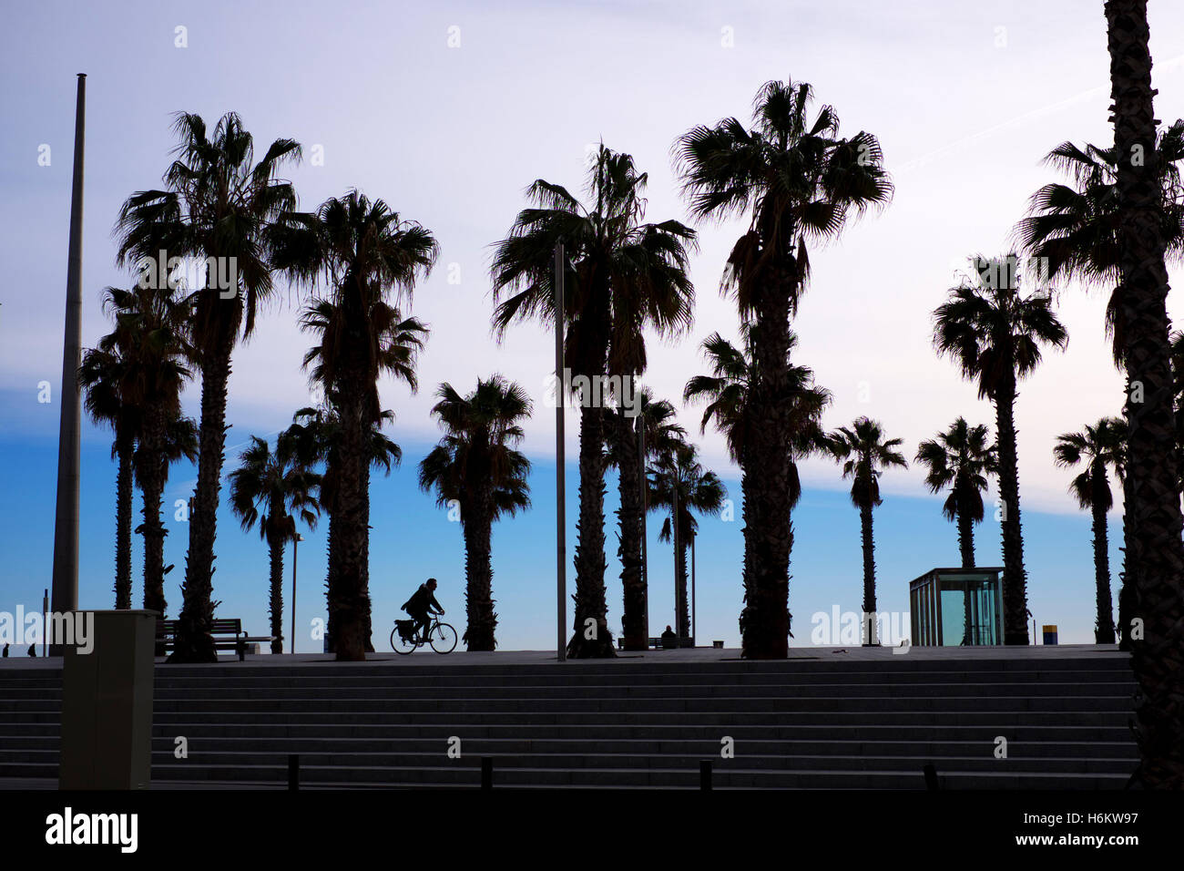 Silhouette of cyclist travelling along the boulevard, Barcelona, Spain Stock Photo