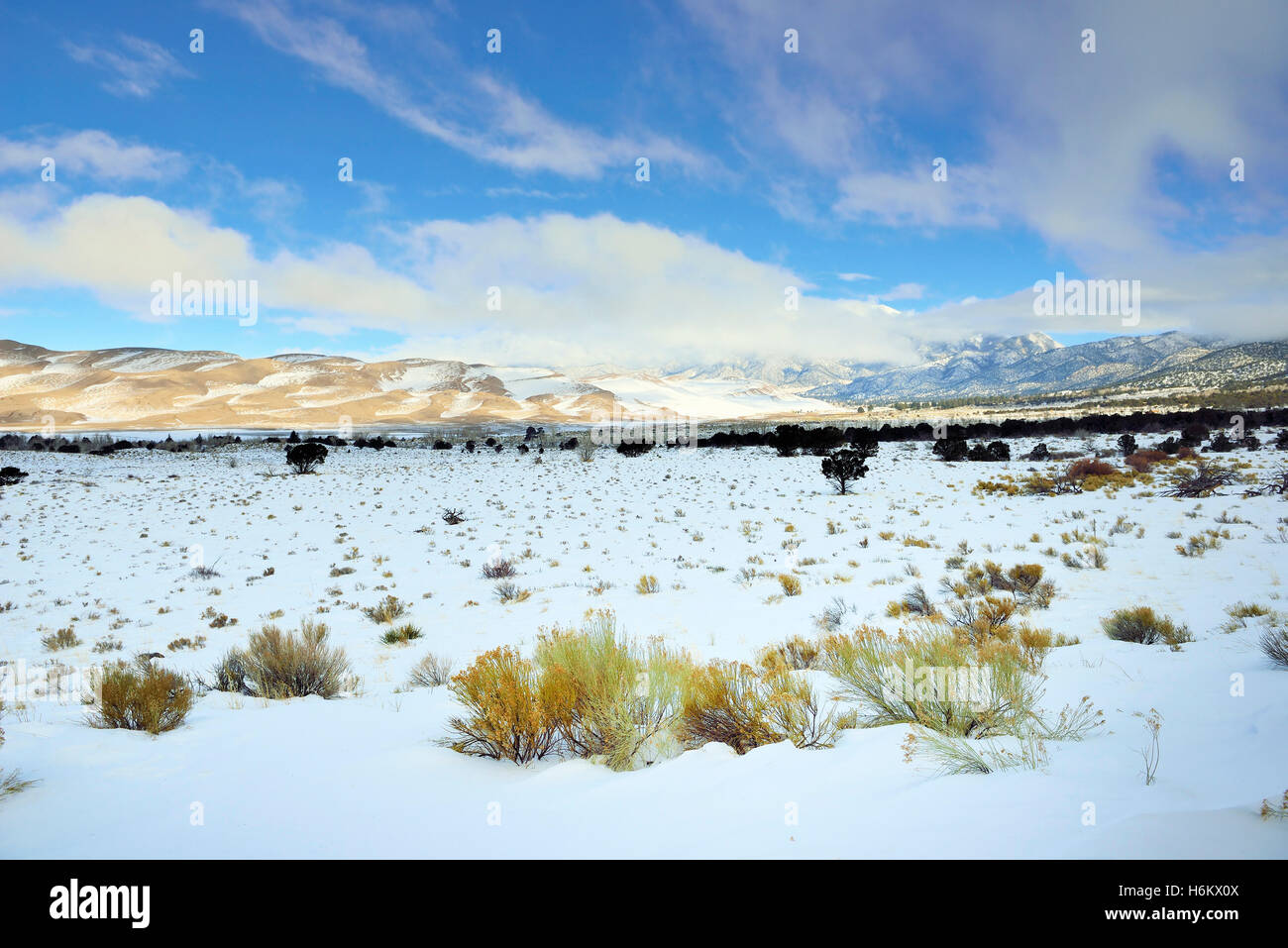 Great sand dunes national park winter hi-res stock photography and ...