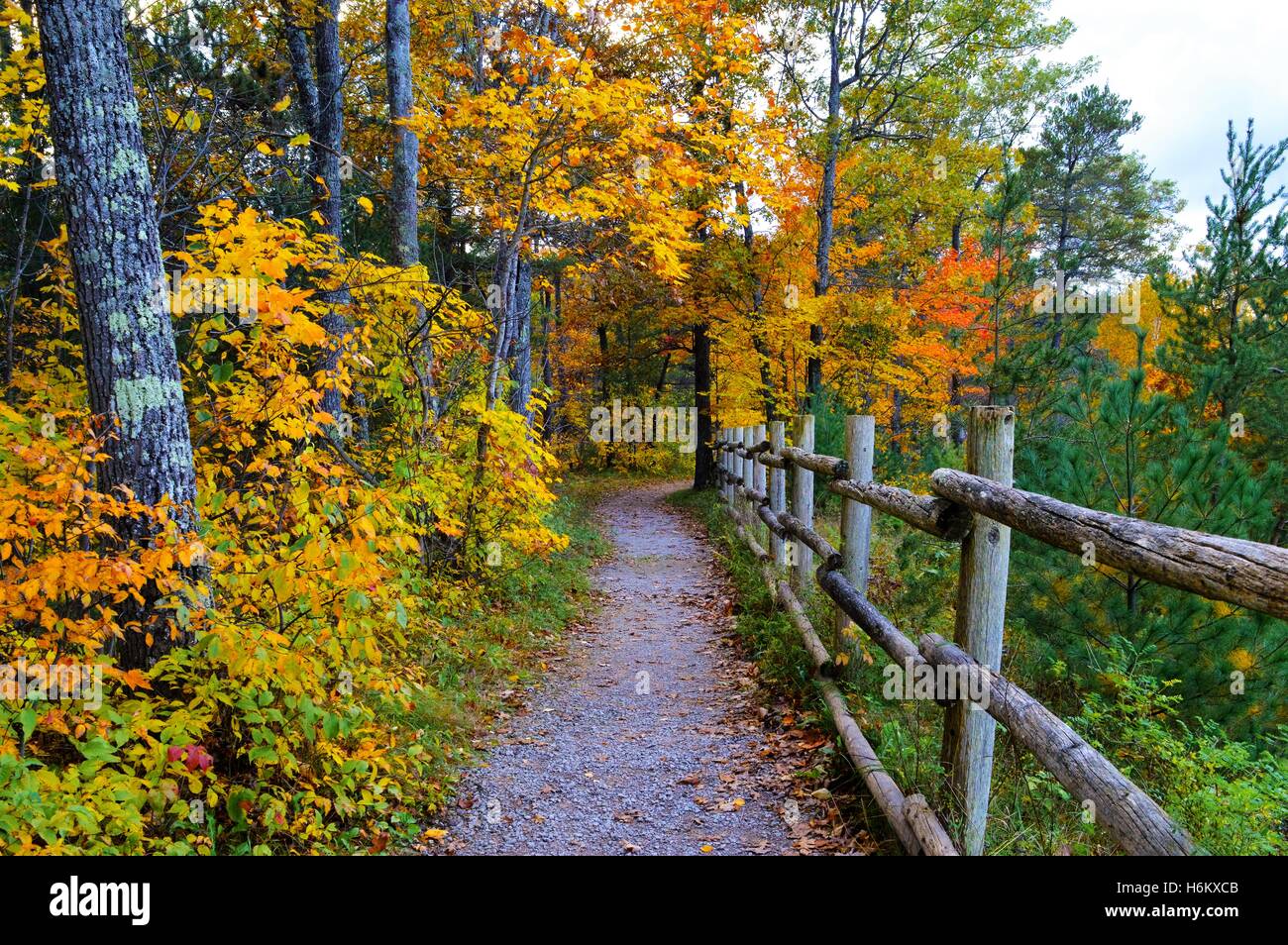 Beautiful country walk in the fall Stock Photo Alamy