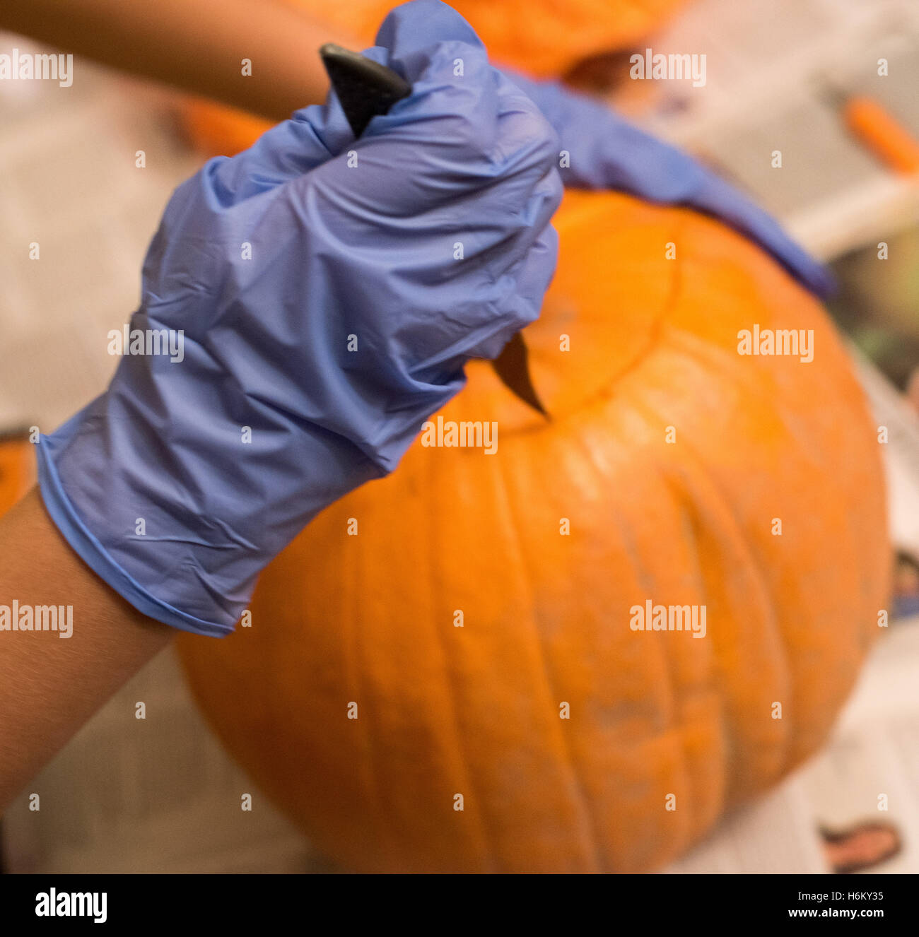 Pumpkin caring, marking out Stock Photo