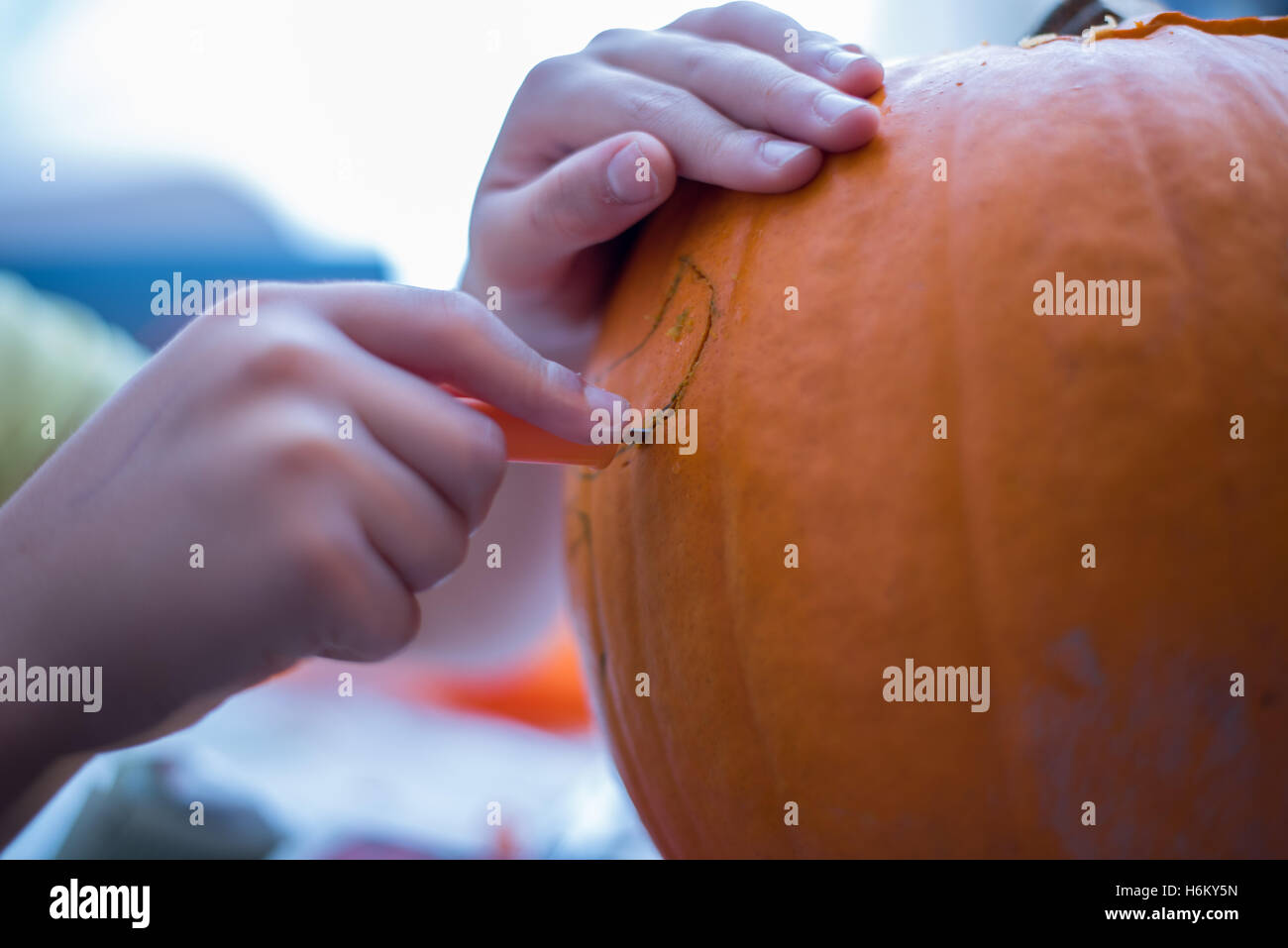 pumpkin caring- cutting out Stock Photo