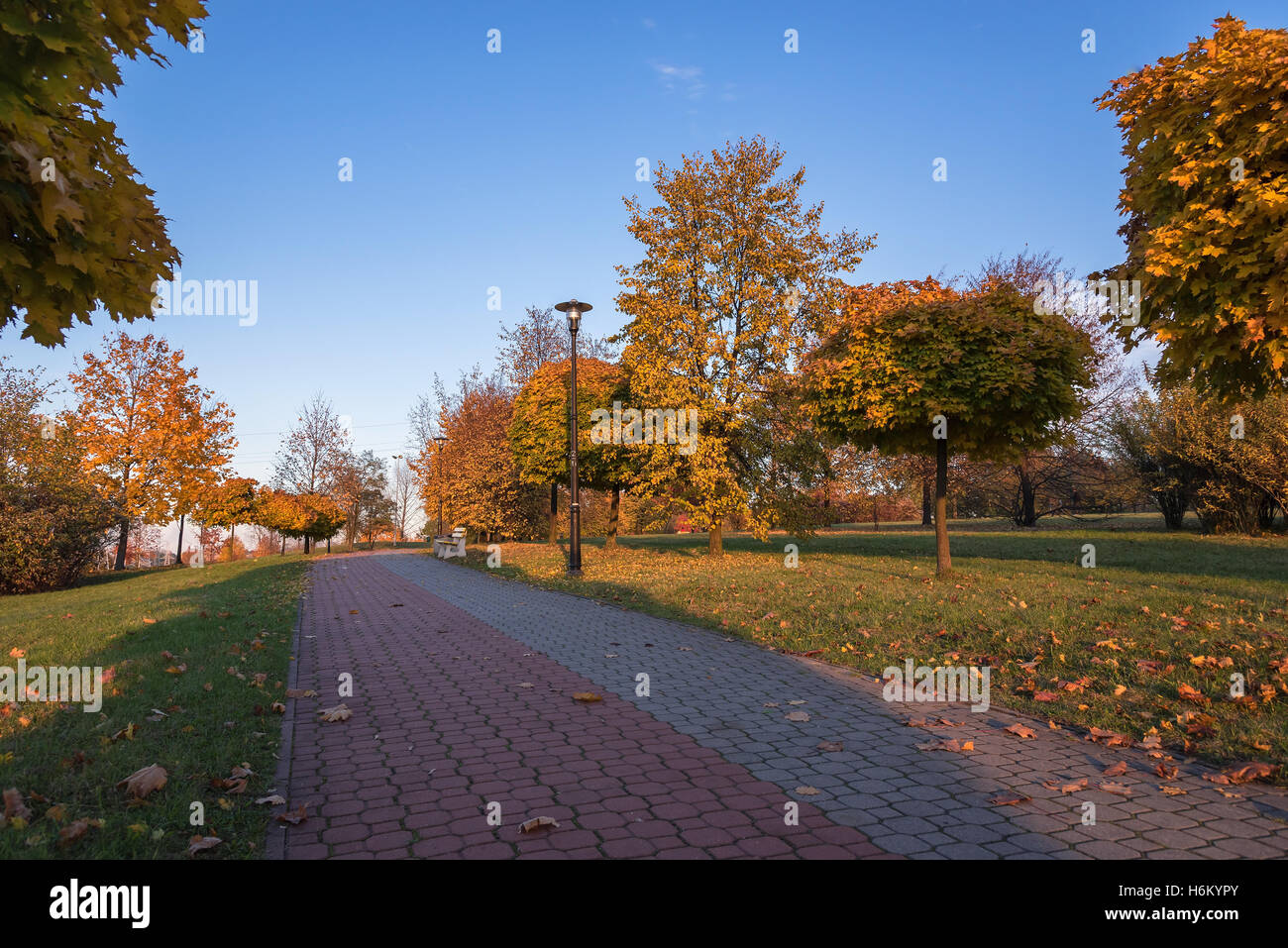 Beautiful colors of autumn in the park at sunset Stock Photo - Alamy