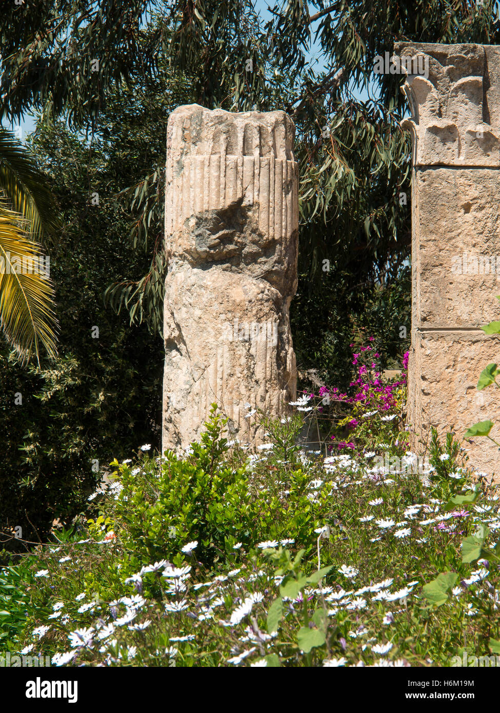 tunis in africa Stock Photo