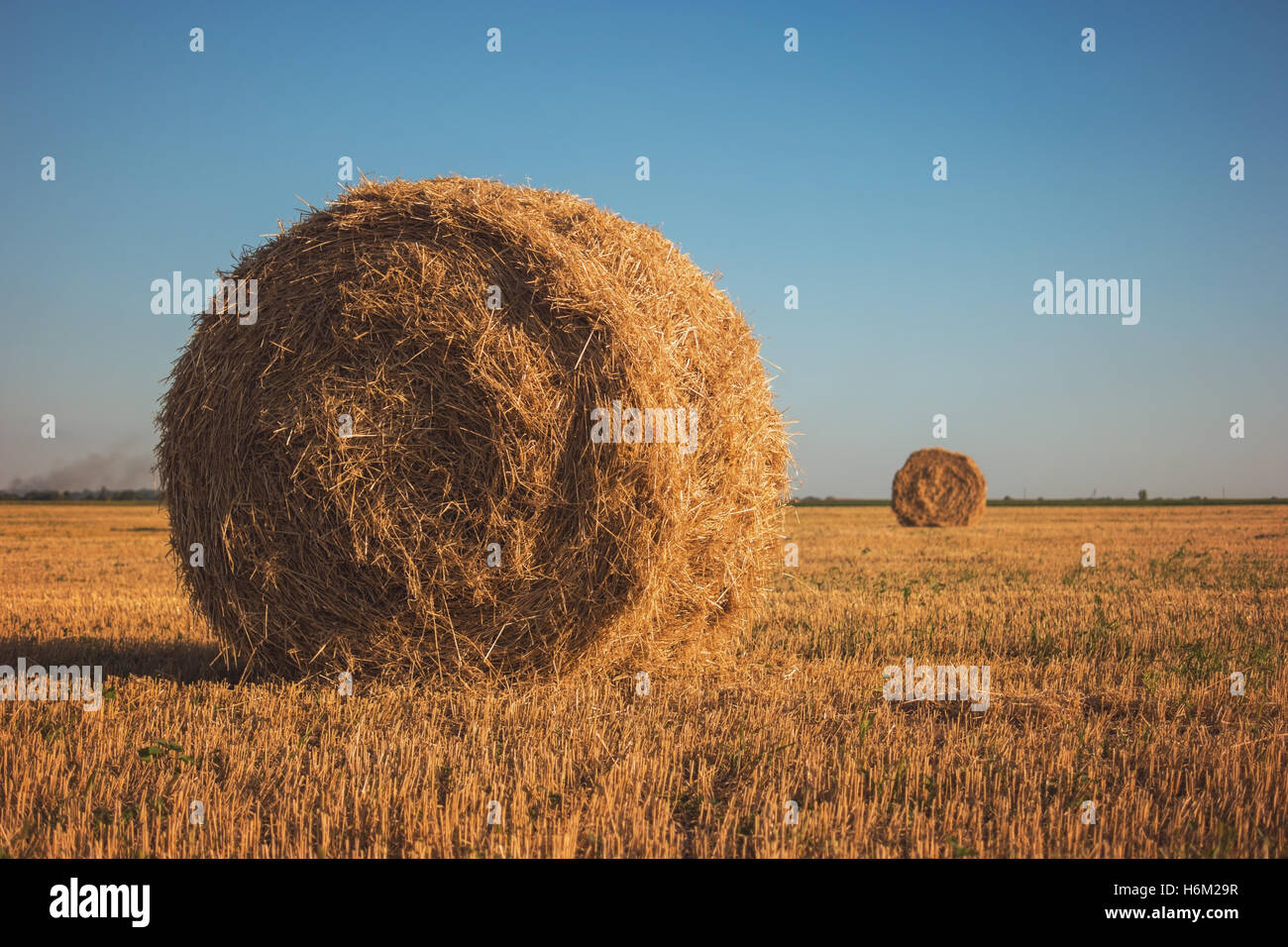 Stack of hay on field Stock Photo Alamy