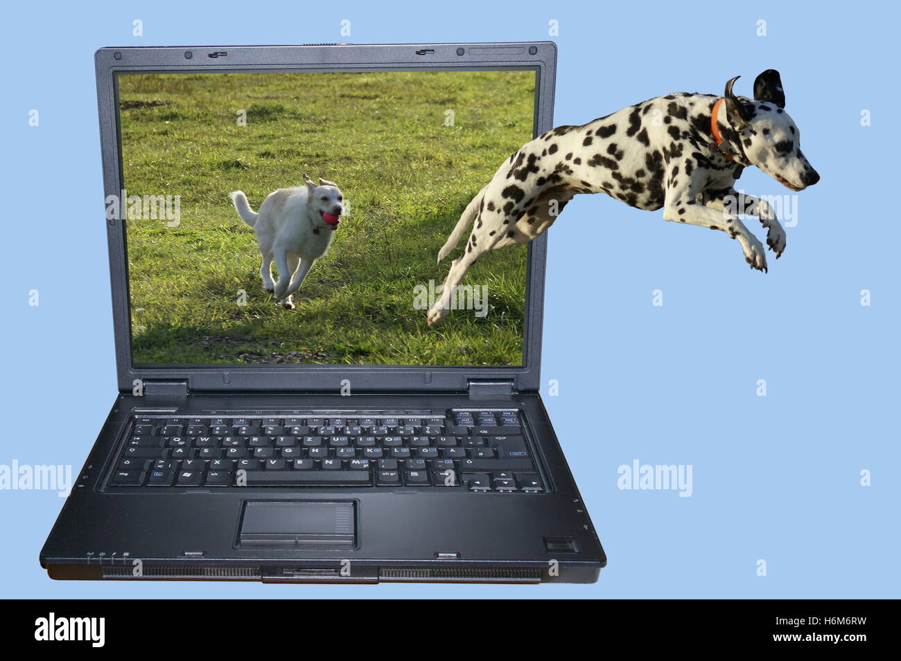 photo montages Stock Photo