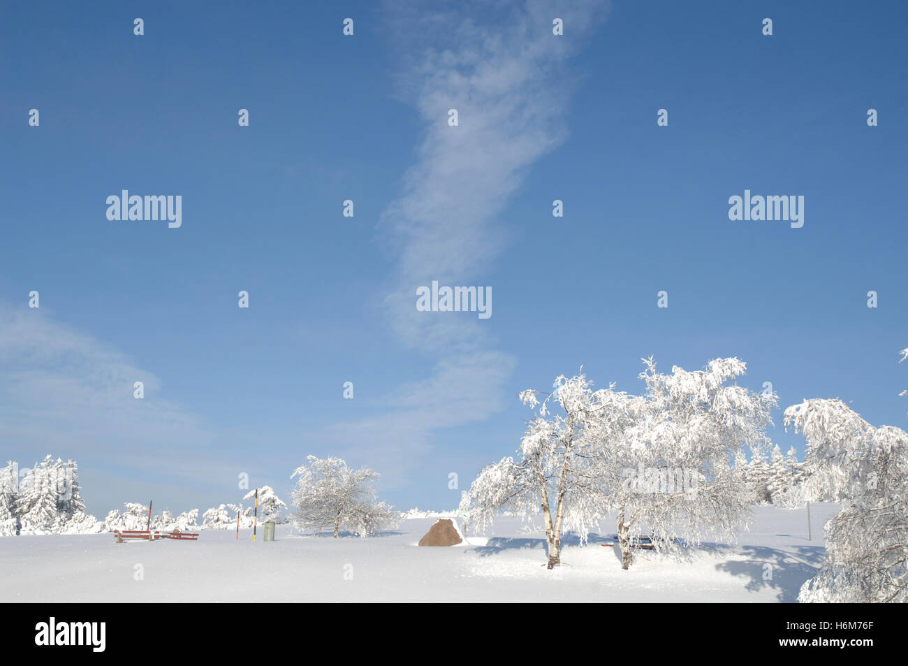 Black forests hi-res stock photography and images - Alamy