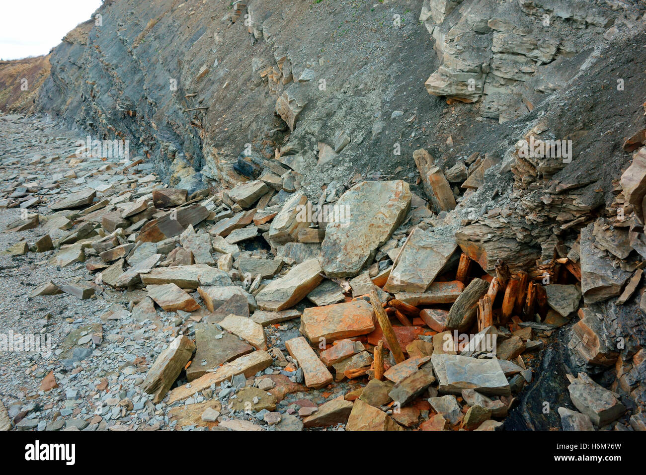 Joggins Fossil Cliffs on the Bay of Fundy in Nova Scotia Canada is