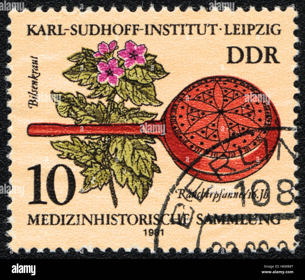 A postage stamp printed in DDR  Germany shows Henbane and  Historic medical instrument, Karl- Sudhoff-Institute, Leipzig, 1981 Stock Photo