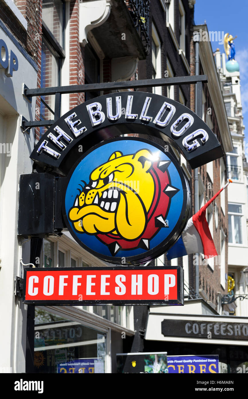 A Bulldog sign outside a Coffee shop in Amsterdam, Holland, Netherlands. Stock Photo