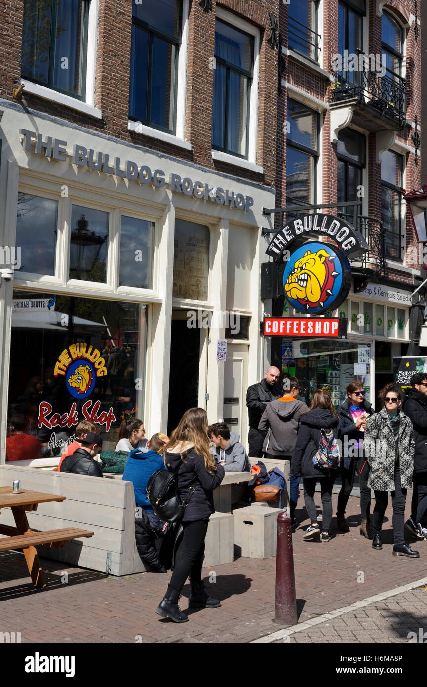 A Coffee shop with a bulldog sign in Amsterdam, Holland, Netherlands. Stock Photo