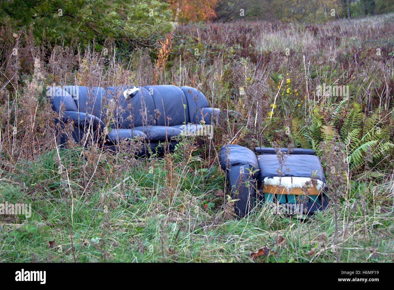 Fly tipping old sofa and chairs in field Stock Photo