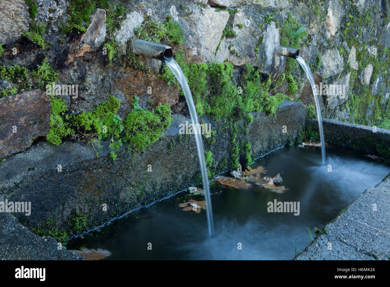 Pipes clean water pouring from a natural source Stock Photo Alamy