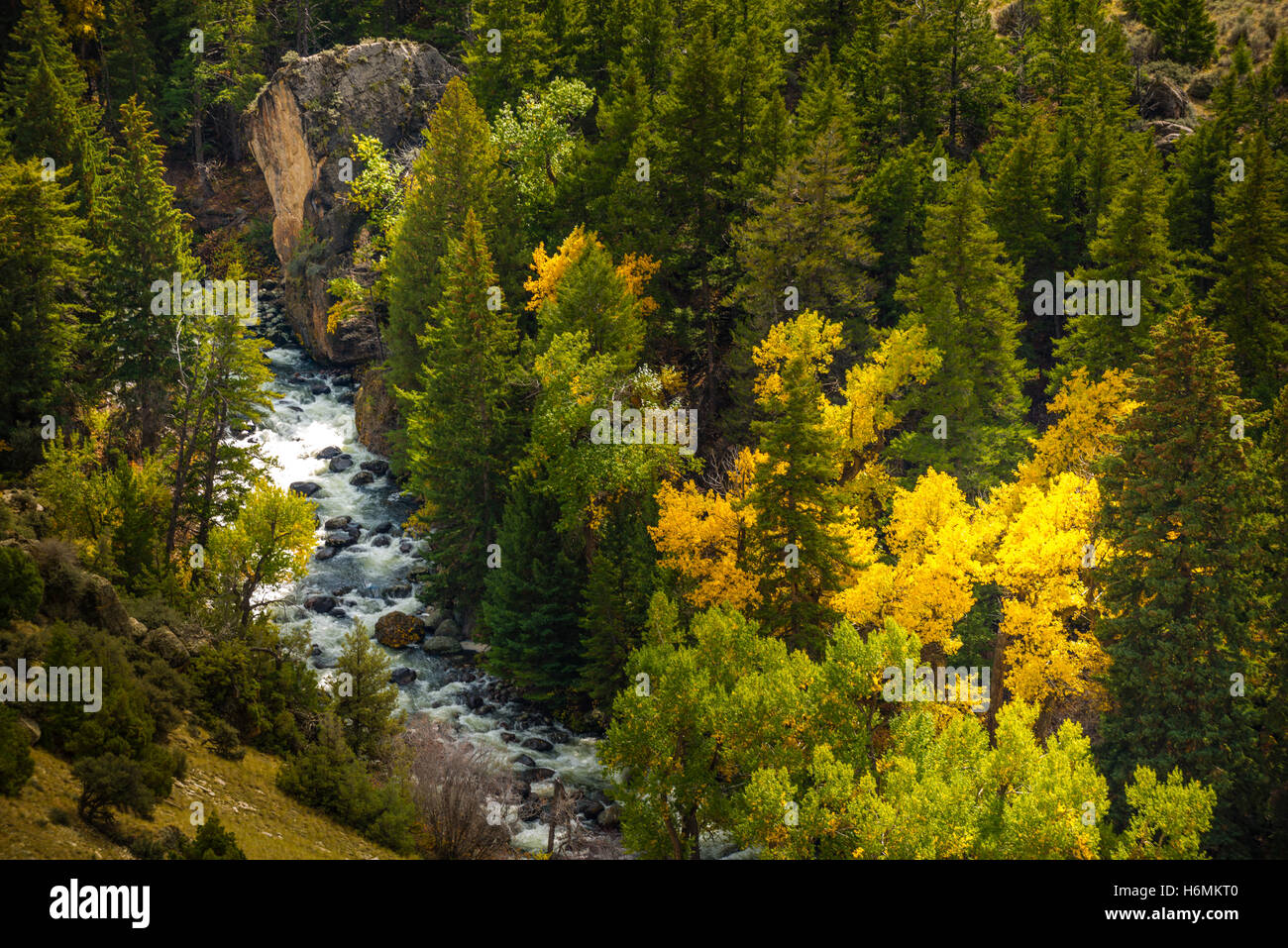 Tensleep Creek Wyoming Landscape Fall Colours Stock Photo