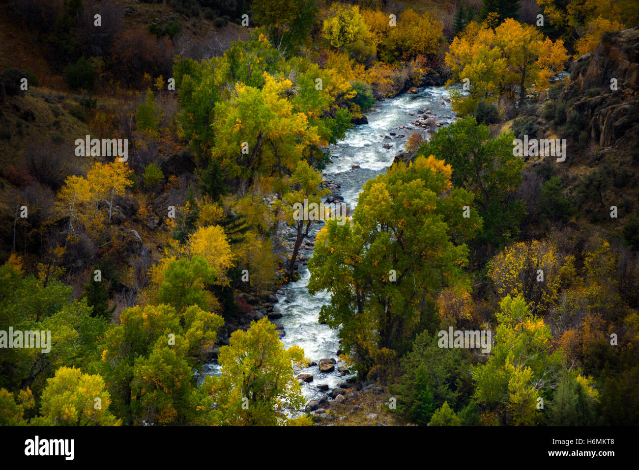 Tensleep Creek Wyoming Landscape Fall Colours Stock Photo