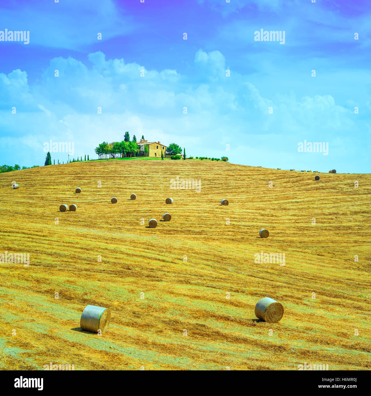Tuscany, farmland country landscape, on hill top, hay rolls and harvested green fields. Val d Orcia, Italy, Europe. Stock Photo
