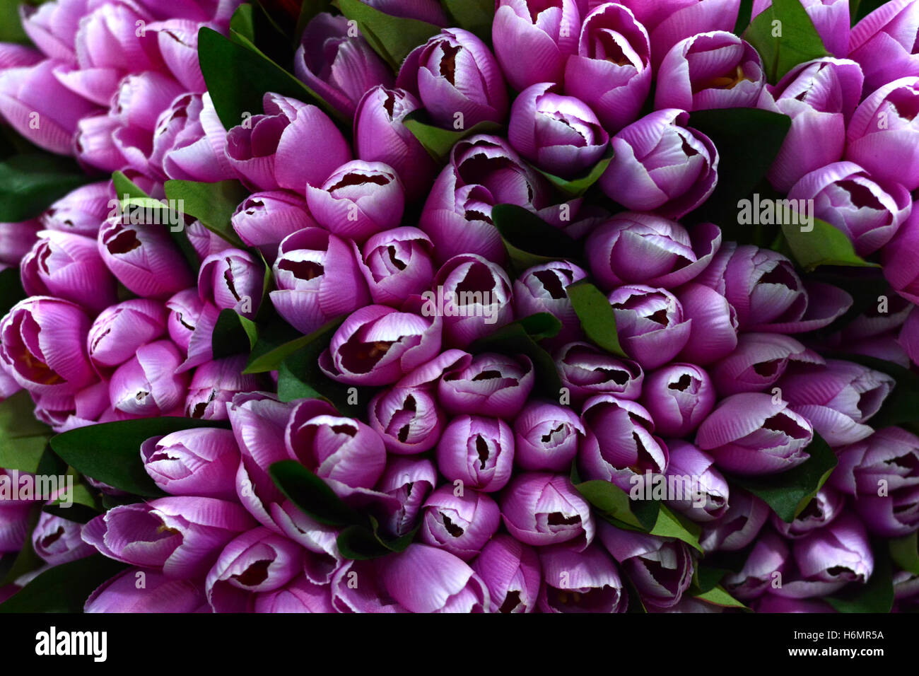 beautiful colors of plastic flowers Stock Photo Alamy