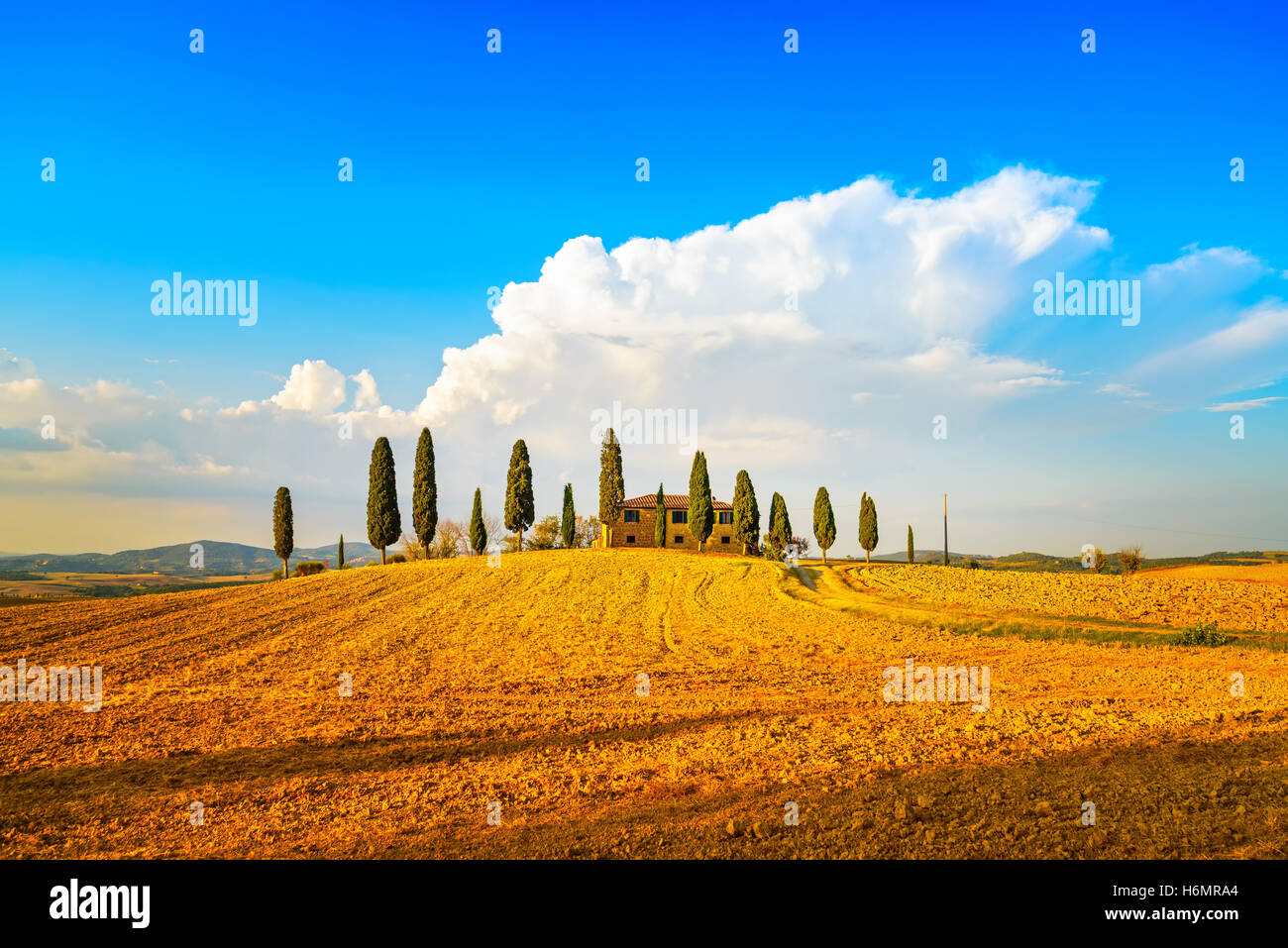 Tuscany, farmland and cypress trees and white road, country landscape. Siena, Val d Orcia, Italy, Europe. Stock Photo