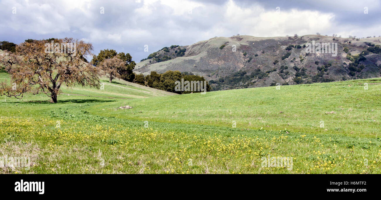 Northern California Landscape on a winter day. Stock Photo
