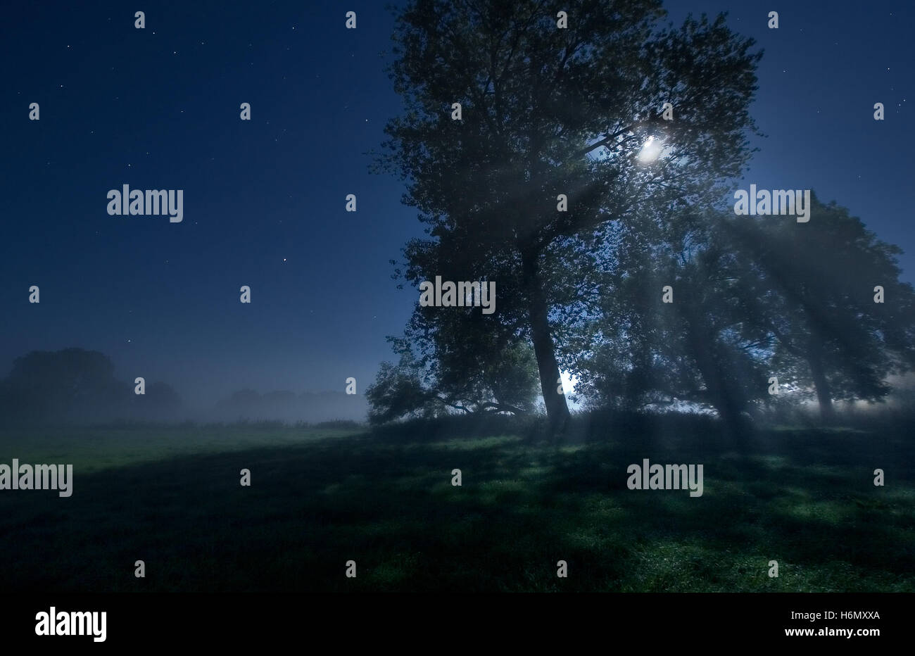 Nighttime landscapes hi-res stock photography and images - Alamy