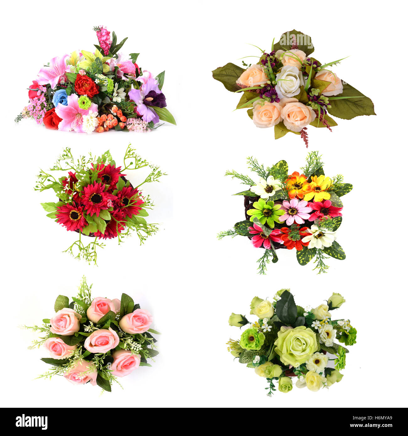 Flower collection isolated Stock Photo