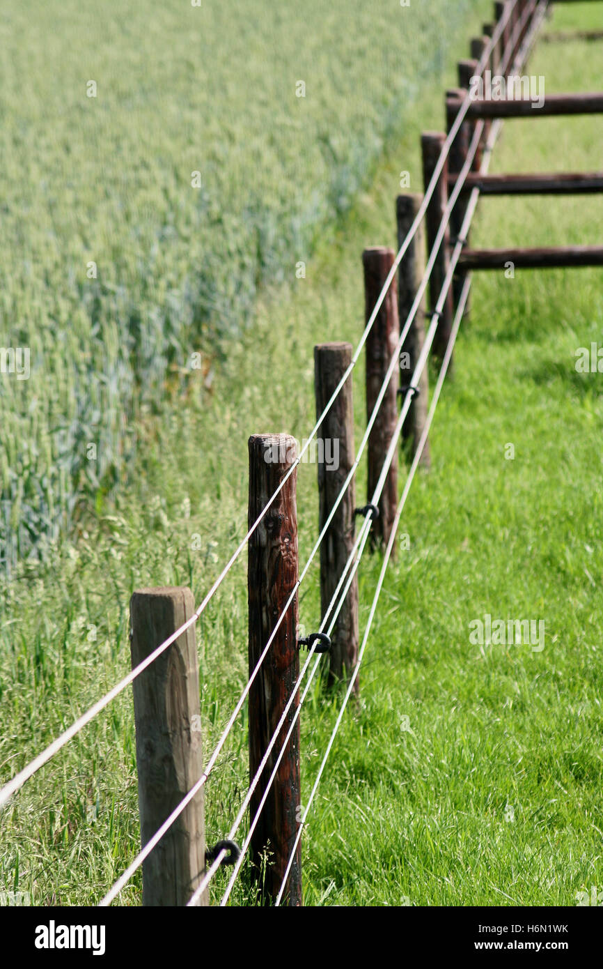 fence field and pasture Stock Photo Alamy