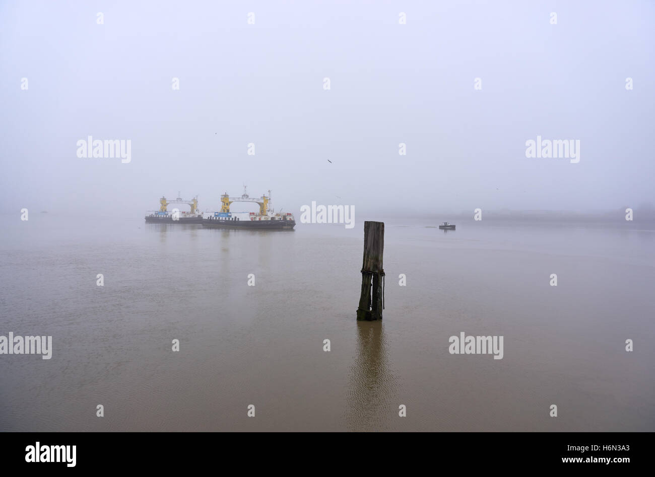 Two Woolwich Ferry vessels, a small boat and birds in autumn fog on the Thames - looking north from the riverside path Stock Photo