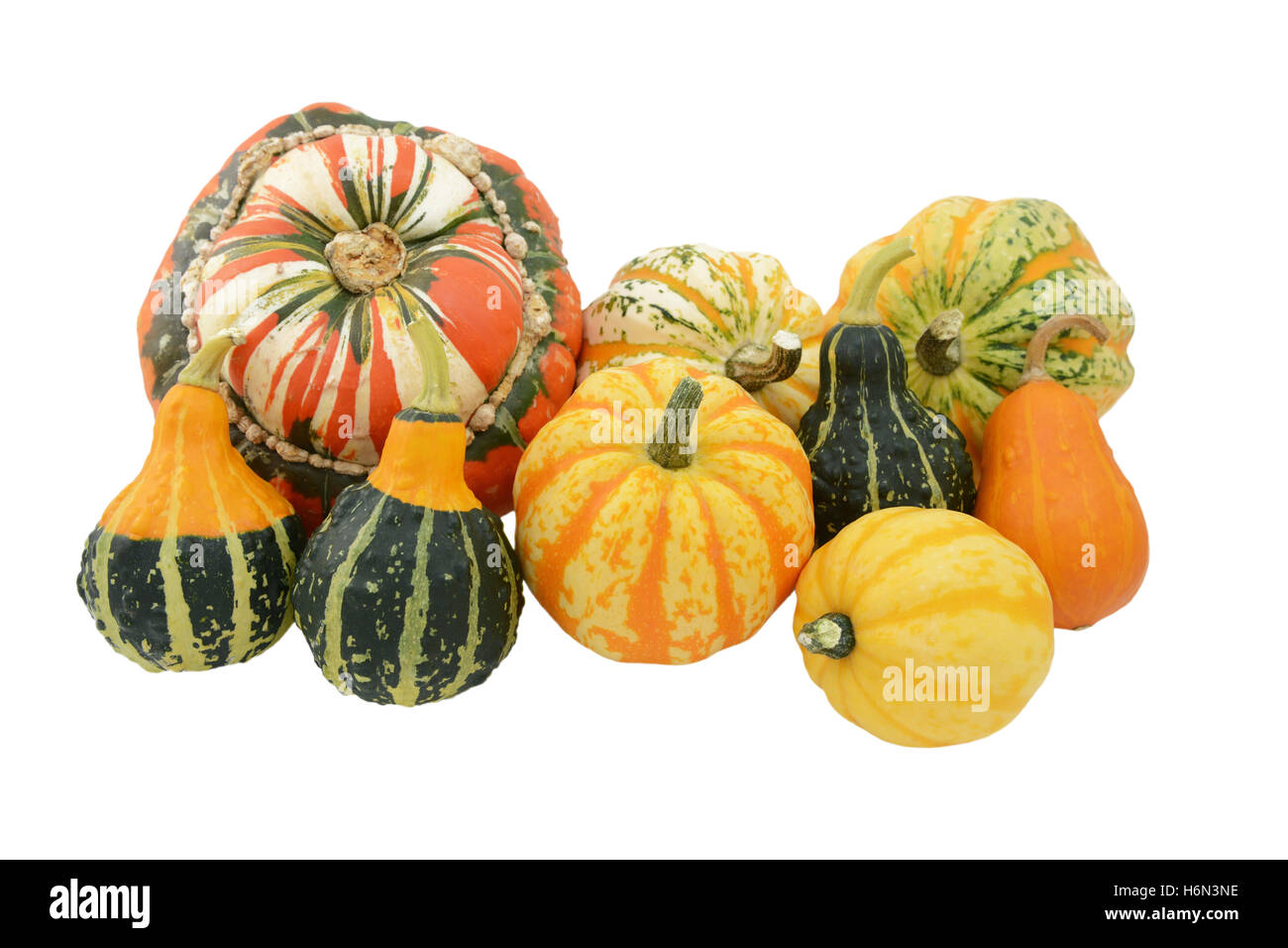 Selection of ornamental gourds with striped Turks turban squash and yellow and green Festival squash Stock Photo