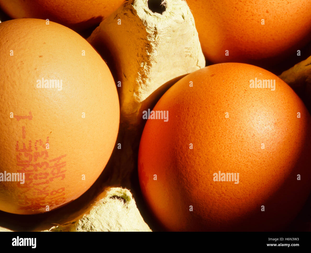 fresh eggs from supermarket UK Stock Photo Alamy