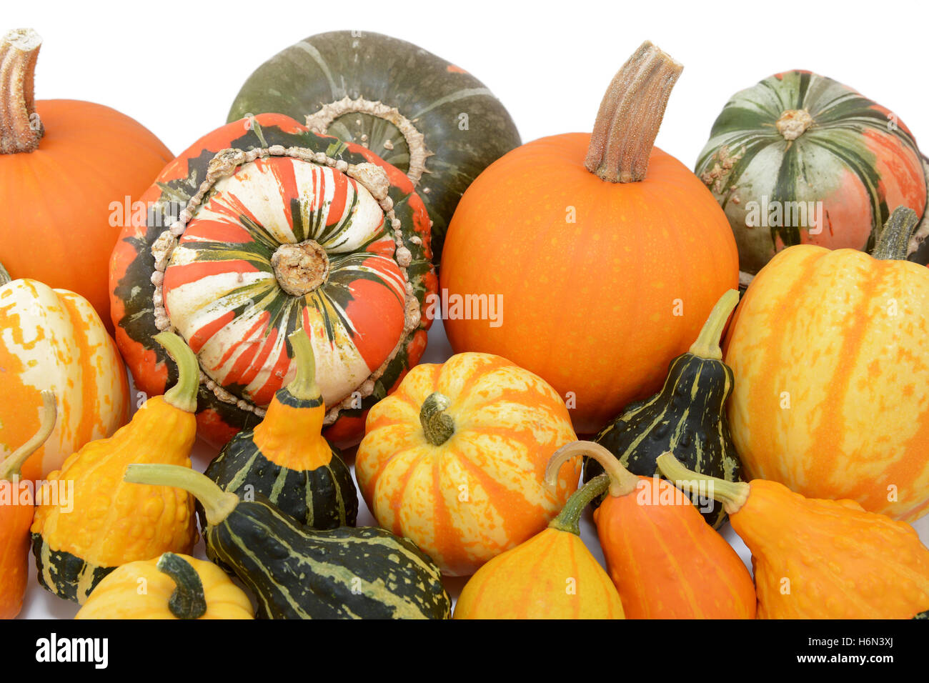 Pile of autumn pumpkins and squashes with ornamental gourds, against a white background Stock Photo