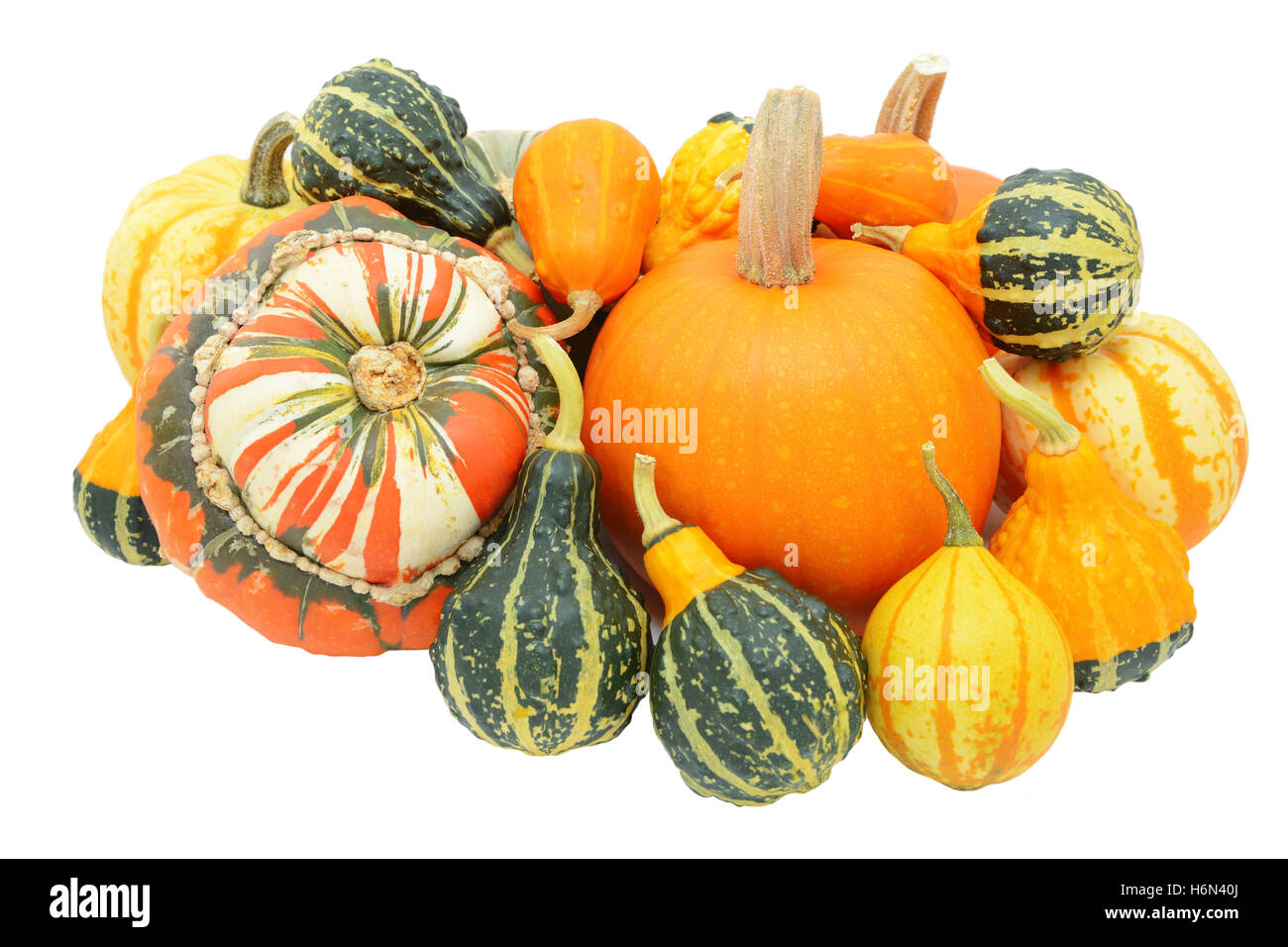 Group of autumnal gourds pumpkins, Turks turban squash and mixed
