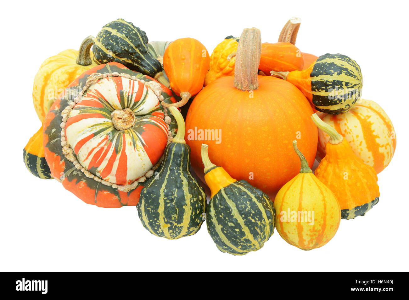 Group of autumnal gourds - pumpkins, Turks turban squash and mixed ornamental gourds - isolated on a white background Stock Photo