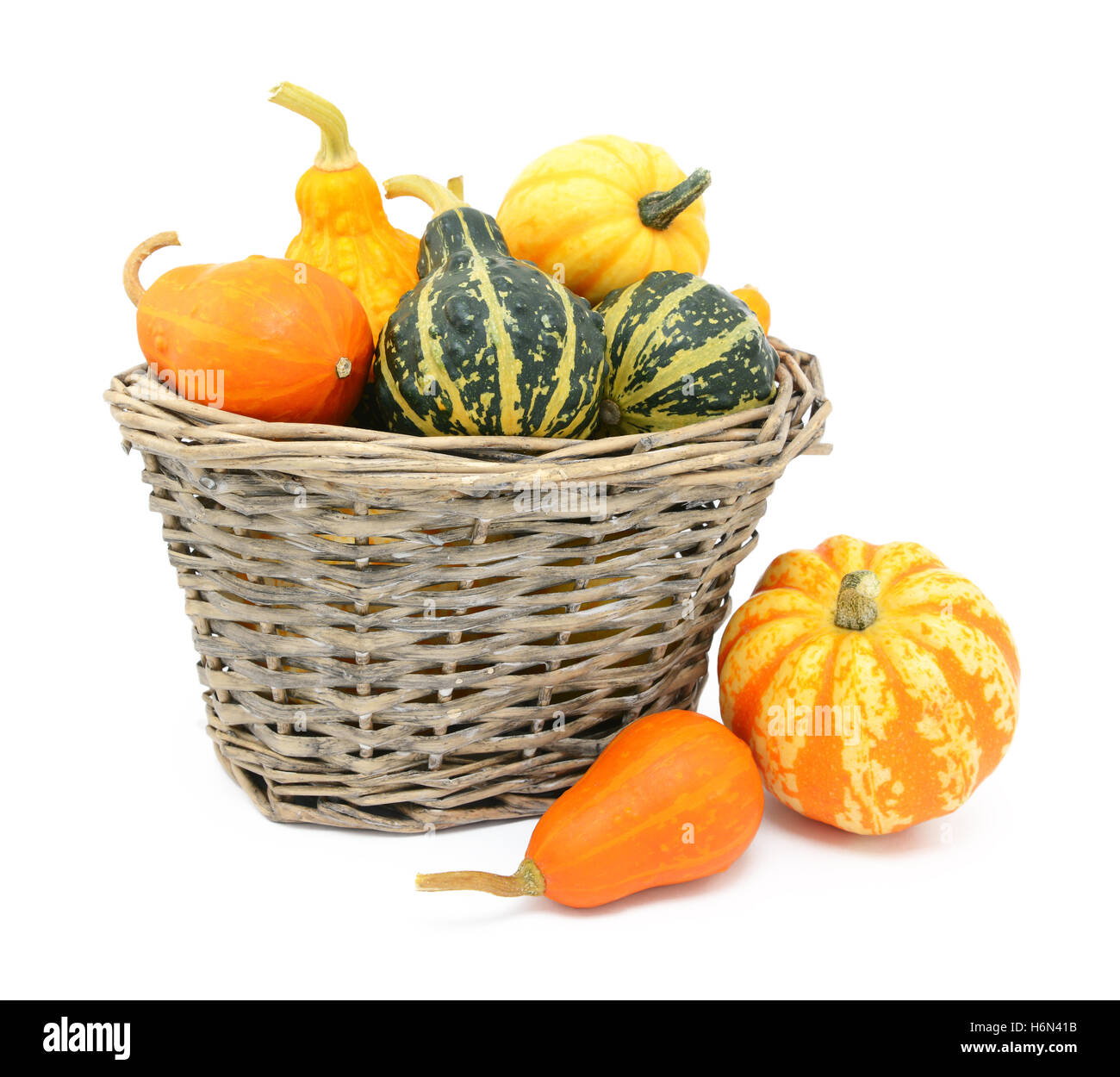 Selection of green, orange and yellow ornamental gourds in a rustic woven basket, two squash lie beside Stock Photo