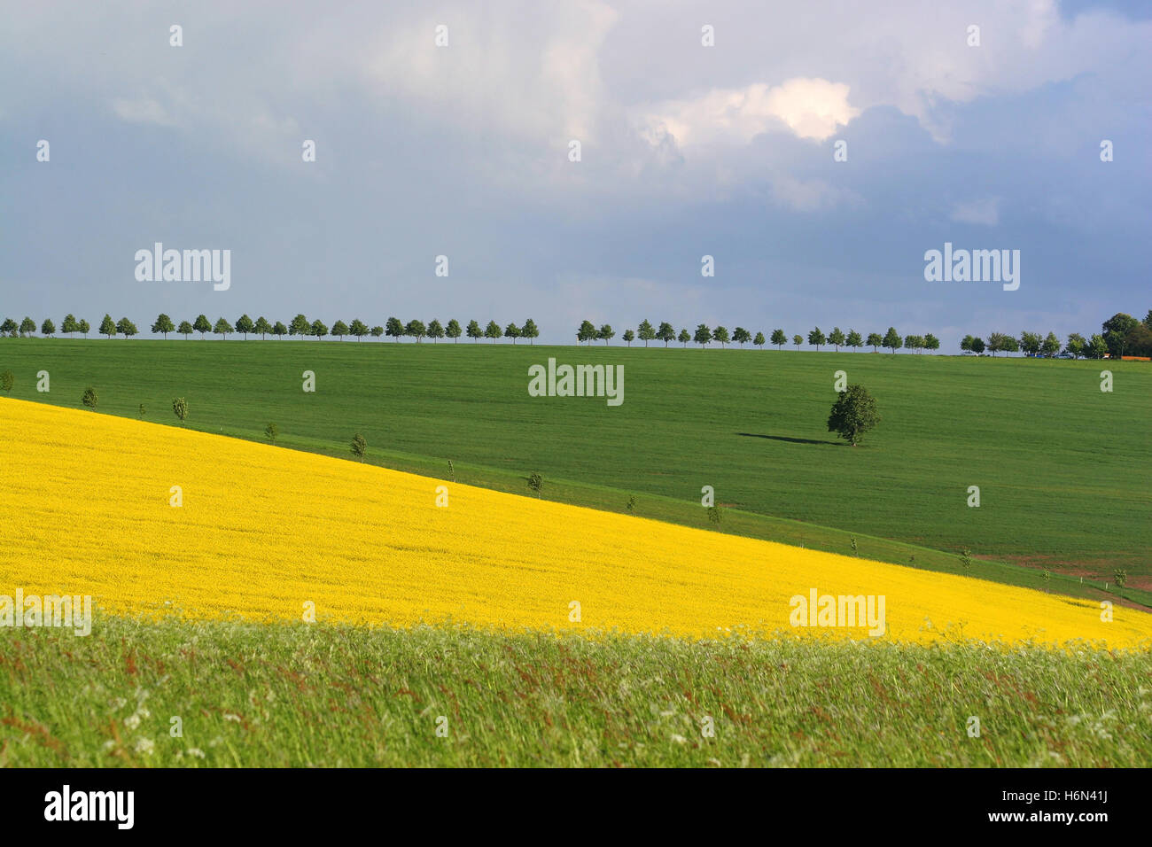 Spring landscapes hi-res stock photography and images - Alamy