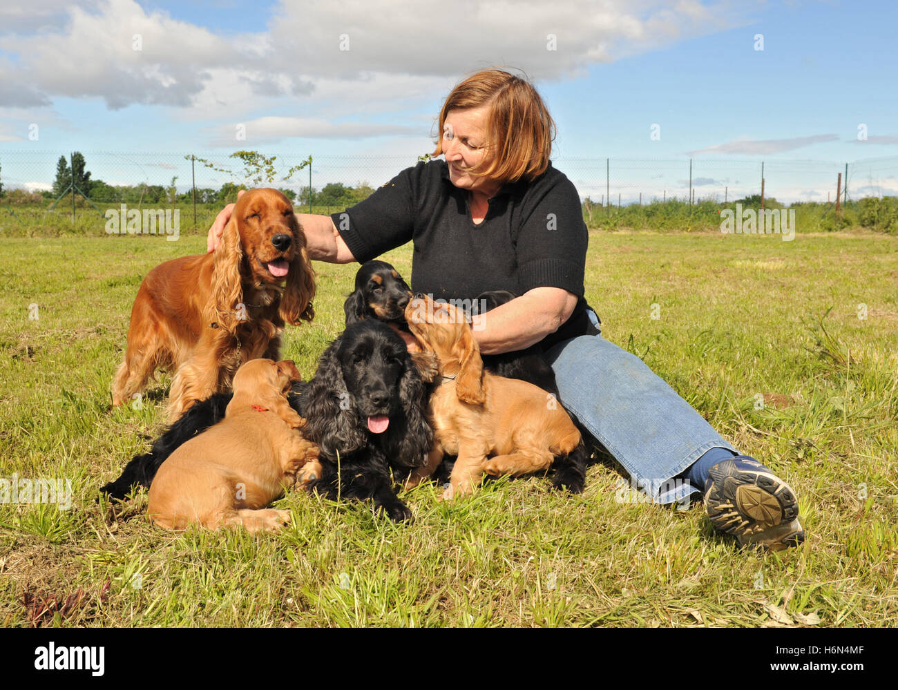 English tiny home hires stock photography and images Alamy