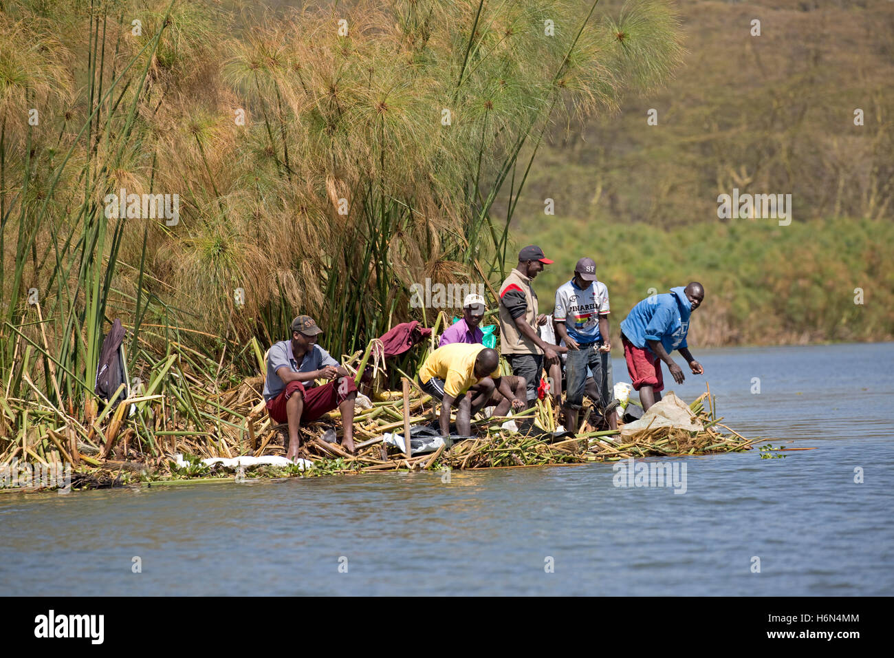 Local African fishermen fishing with handlines from papyrus at edge of Lake Naivasha Kenya Stock Photo